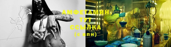 крисы Краснослободск