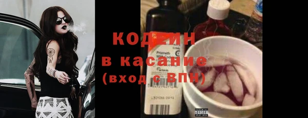 крисы Краснослободск