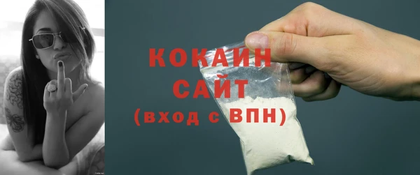 крисы Краснослободск