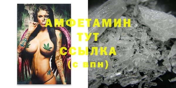 крисы Краснослободск