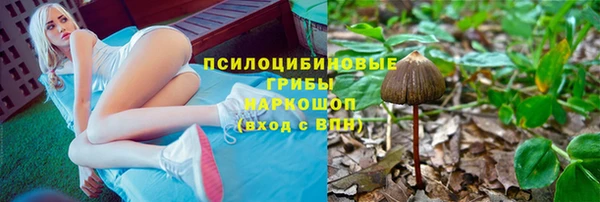 крисы Краснослободск
