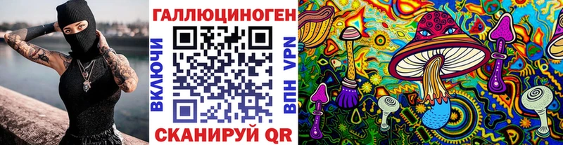 Галлюциногенные грибы Psilocybe даркнет сайт ссылка на мегу Хабаровск