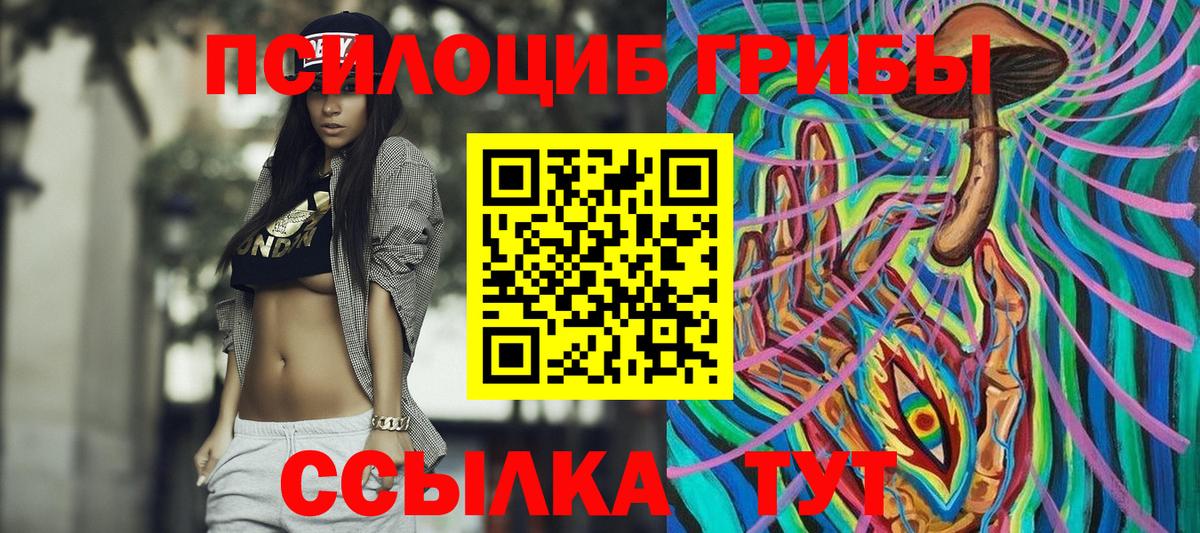 Хабаровск  Галлюциногенные грибы Cubensis  Вход с VPN  Галлюциногенные грибы Cubensis 