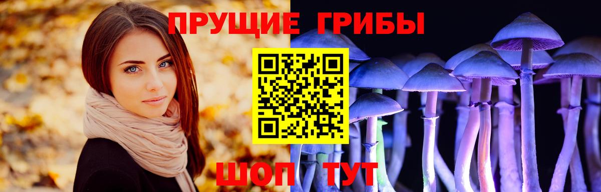 Галлюциногенные грибы мухоморы Хабаровск